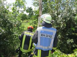 20150725 Baum über Straße L566 Nwr 4